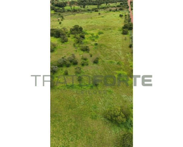 Foto de FAZENDA BEM LOCALIZADA 