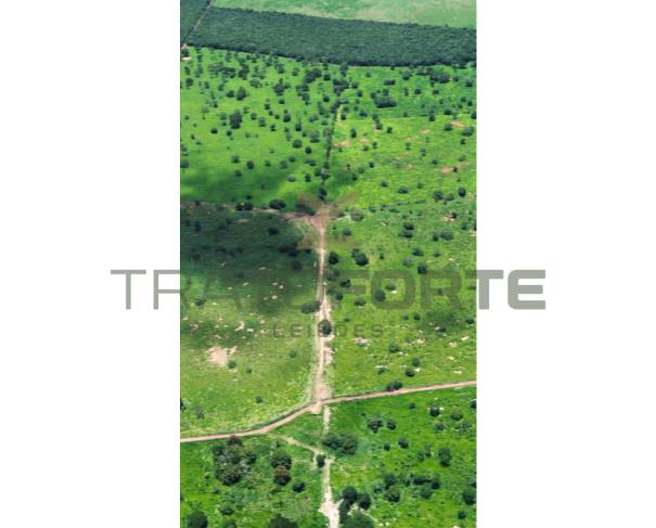 Foto de 001
