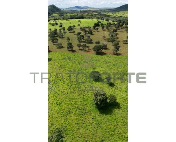 Foto de FAZENDA LAGES