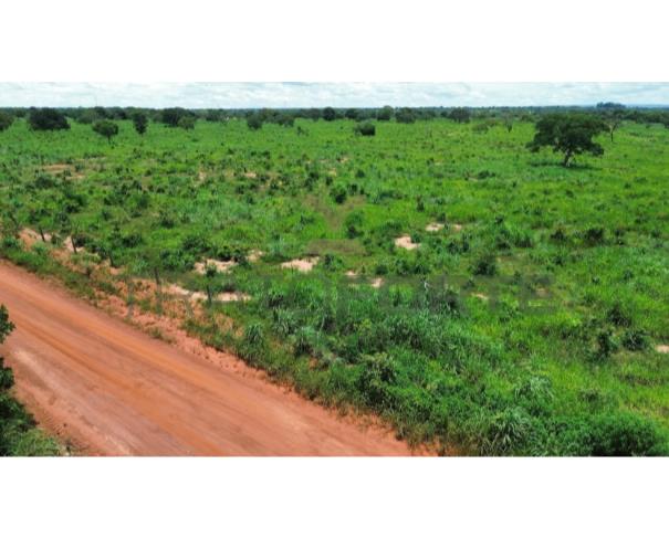 Foto de 001